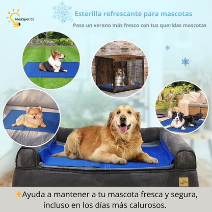 PetCooler Pro™ [Manta refrigerante para mascotas]